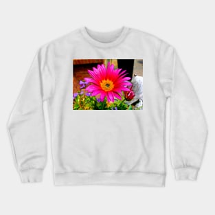 Sunset Burst Crewneck Sweatshirt